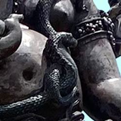 Serpentine Power