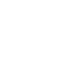 Icon Pin